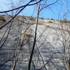 Зима в Арко